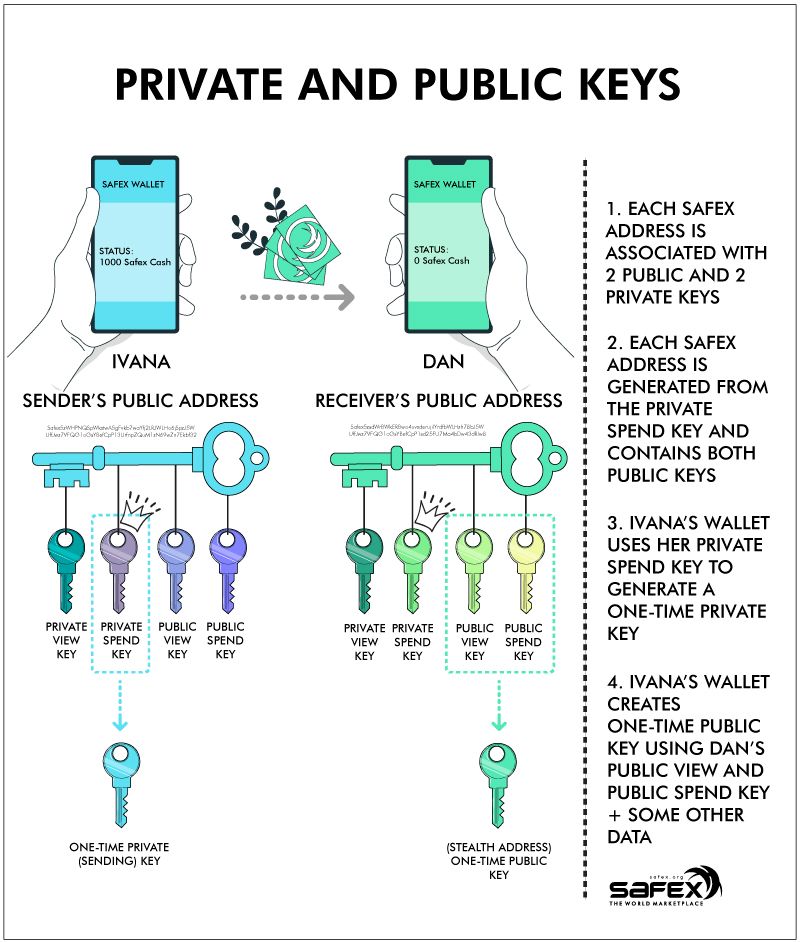 Private and Public Keys Safex Privacy Blockchain