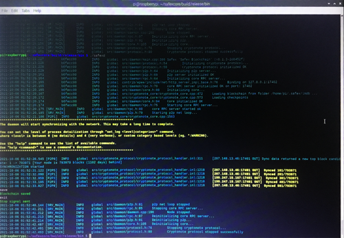 Building a RaspberryPi Safex Node RaspberryPi Safex Ninja Docker Blockchain Sync