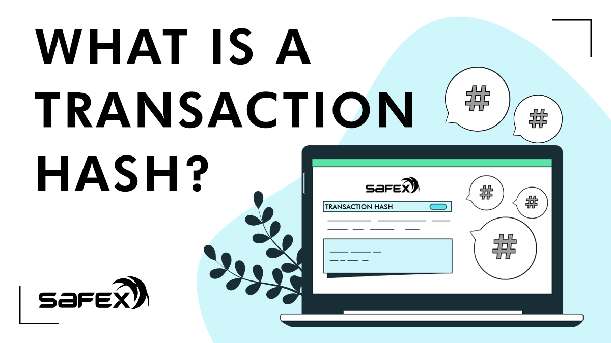 What is a Transaction Hash?