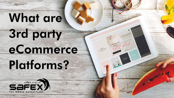 What are 3rd party eCommerce Platforms?