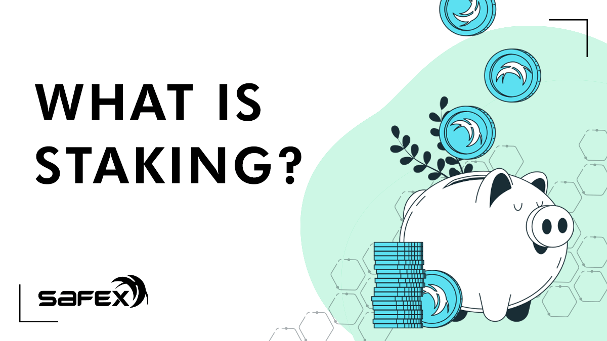 What is Staking?