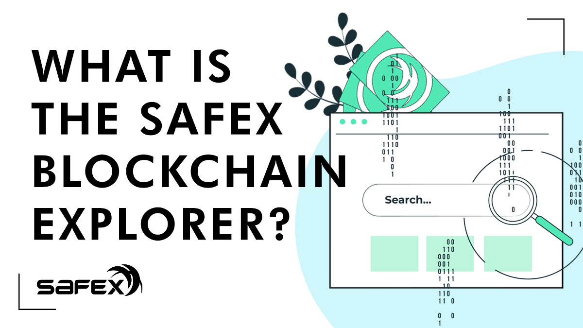 What is the Safex Blockchain Explorer?